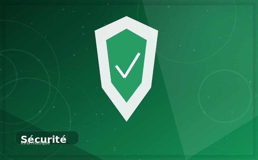 S&eacute;curit&eacute; informatique